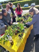 Atelier malin du 3CHB, troc de plantes