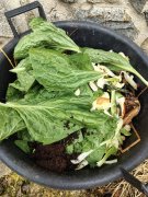 Atelier Malin du 3 CHB, réussir son compost domestique